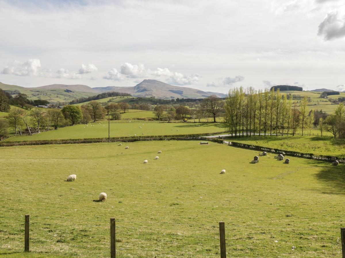 Cyffdy Cottage - Arenig Bala Εξωτερικό φωτογραφία